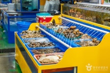 궁평항수산물직판장 쇼핑 정보와 주변 관광 명소 및 근처 맛집 여행 정보