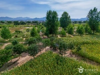 대산플라워랜드 관광 정보와 주변 관광 명소 및 근처 맛집 여행 정보