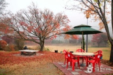 Marnbauchon Garden (만바우촌가든) - Restaurant - Korea travel and tourism information