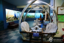 Ttangkkut Marine Natural History Museum (땅끝해양자연사박물관) - Culture - Korea travel and tourism information