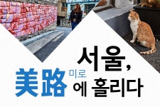 보성 벌교 홍교 - 교과서 여행 | 구석구석 떠나볼까 | 대한민국구석구석