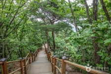 Gwanggyosan Mountain (광교산) - Sightseeing - Korea travel and tourism information