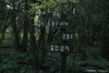 제주 청수마을 관광 정보와 주변 관광 명소 및 근처 맛집 여행 정보