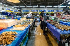 안산농수산물도매시장 쇼핑 정보와 주변 관광 명소 및 근처 맛집 여행 정보