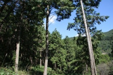 지리산유스캠프 - 주변 여행 및 근처 관광 명소 - 국내 여행 정보와 관광 명소 정보