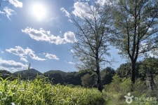 덕우리대촌마을 관광 정보와 주변 관광 명소 및 근처 맛집 여행 정보