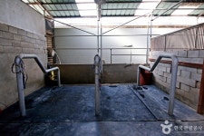 천등산승마클럽 레저스포츠 정보와 주변 관광 명소 및 근처 맛집 여행 정보