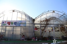 엘림랜드 관광 정보와 주변 관광 명소 및 근처 맛집 여행 정보