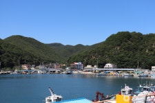 무릉별유천지 라벤더축제 - 주변 여행 및 근처 관광 명소 - 국내 여행 정보와 관광 명소 정보