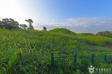 함평 향교리 느티나무·팽나무·개서어나무 숲 - 주변 여행 및 근처 관광 명소 - 국내 여행 정보와 관광 명소 정보