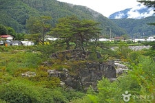 평창문화관광 > 음식/숙박/쇼핑 > 살래요 평창문화관광  &gt; 음식/숙박/쇼핑 &gt; 살래요