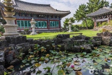 금룡사(제주) 관광 정보와 주변 관광 명소 및 근처 맛집 여행 정보
