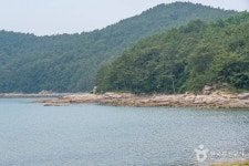 연소해수욕장 관광 정보와 주변 관광 명소 및 근처 맛집 여행 정보