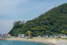 포항 발산리 모감주나무와 병아리꽃나무 군락 관광 정보와 주변 관광 명소 및 근처 맛집 여행 정보