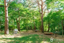 금강소나무생태경영림 관광 정보와 주변 관광 명소 및 근처 맛집 여행 정보