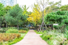 신트리공원(서울) 관광 정보와 주변 관광 명소 및 근처 맛집 여행 정보