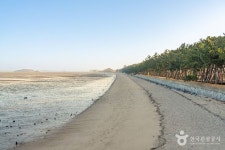 무안낙지공원 관광 정보와 주변 관광 명소 및 근처 맛집 여행 정보