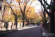 가톨릭대학교 성신교정도서관 문화 정보와 주변 관광 명소 및 근처 맛집 여행 정보