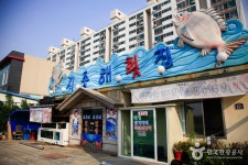 경주 효공왕릉 - 주변 여행 및 근처 관광 명소 - 국내 여행 정보와 관광 명소 정보