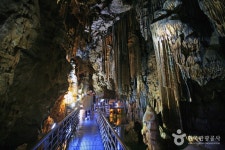 Seongnyugul Cave [National Geopark] (성류굴 (경북 동해안 국가지질공원)) - Sightseeing - Korea travel and tourism information