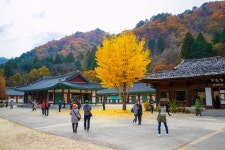 Baekdamsa Temple (백담사) - Sightseeing - Korea travel and tourism information