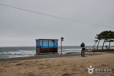 注文津邑BTSアルバム写真ロケ地(バス停) (주문진읍 BTS 앨범사진 촬영지(버스정류장)) - 観光 - 韓国旅行・観光情報