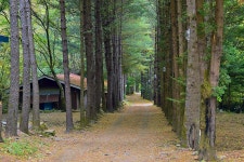아버지의숲산정캠프 레저스포츠 정보와 주변 관광 명소 및 근처 맛집 여행 정보