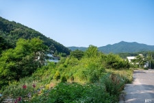 봉덕칼국수 - 주변 여행 및 근처 관광 명소 - 국내 여행 정보와 관광 명소 정보