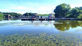 안정리커피 - 주변 여행 및 근처 관광 명소 - 국내 여행 정보와 관광 명소 정보