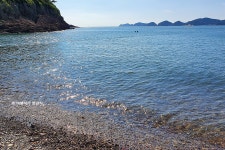 장자도여객터미널 - 주변 여행 및 근처 관광 명소 - 국내 여행 정보와 관광 명소 정보