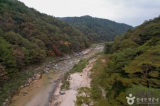 사미정계곡 관광 정보와 주변 관광 명소 및 근처 맛집 여행 정보