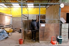 천등산승마클럽 레저스포츠 정보와 주변 관광 명소 및 근처 맛집 여행 정보