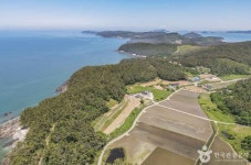 새섬 리조트 - 주변 여행 및 근처 관광 명소 - 국내 여행 정보와 관광 명소 정보