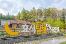 문화마을 둘레길 - 주변 여행 및 근처 관광 명소 - 국내 여행 정보와 관광 명소 정보