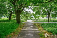 함평 향교리 느티나무·팽나무·개서어나무 숲 관광 정보와 주변 관광 명소 및 근처 맛집 여행 정보