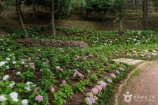 망산공원 관광 정보와 주변 관광 명소 및 근처 맛집 여행 정보