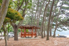 금장해수욕장 관광 정보와 주변 관광 명소 및 근처 맛집 여행 정보