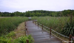 순포습지 관광 정보와 주변 관광 명소 및 근처 맛집 여행 정보