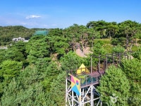 영천한의마을 관광 정보와 주변 관광 명소 및 근처 맛집 여행 정보