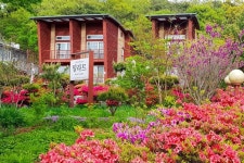 밀라트 숙박 정보와 주변 관광 명소 및 근처 맛집 여행 정보