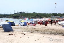 뽐뿌:축제정보 - 오징어맨손잡기체험 및 구룡포 해변축제 2016 오징어맨손잡기체험 및 구룡포 해변축제 2016