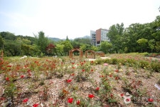 Hwajin Garden (화진가든) - Restaurant - Voyage Corée et information touristique