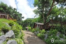 Yongmunsan Recreational Forest (용문산자연휴양림) - Sightseeing - Korea travel and tourism information