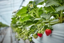 통합검색결과 | 대한민국 구석구석