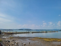 로터스 커피앤 베이커리 - 주변 여행 및 근처 관광 명소 - 국내 여행 정보와 관광 명소 정보