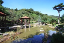 이안숲속오토캠핑장 레저스포츠 정보와 주변 관광 명소 및 근처 맛집 여행 정보