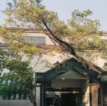 한성칼국수 음식점 정보와 주변 관광 명소 및 근처 맛집 여행 정보