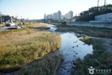 남대천(강릉) 관광 정보와 주변 관광 명소 및 근처 맛집 여행 정보