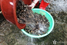 월전 활어판매장 쇼핑 정보와 주변 관광 명소 및 근처 맛집 여행 정보