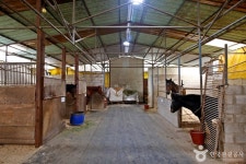 천등산승마클럽 레저스포츠 정보와 주변 관광 명소 및 근처 맛집 여행 정보